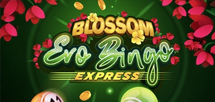 Blossom Bingo Express